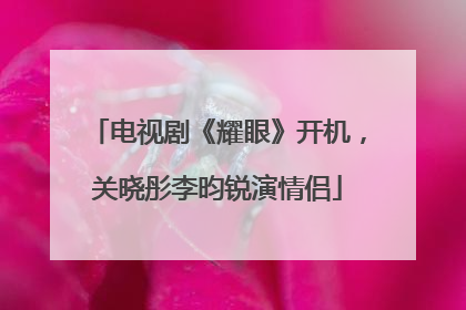 电视剧《耀眼》开机，关晓彤李昀锐演情侣