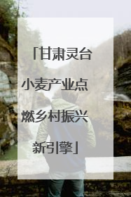 甘肃灵台小麦产业点燃乡村振兴新引擎