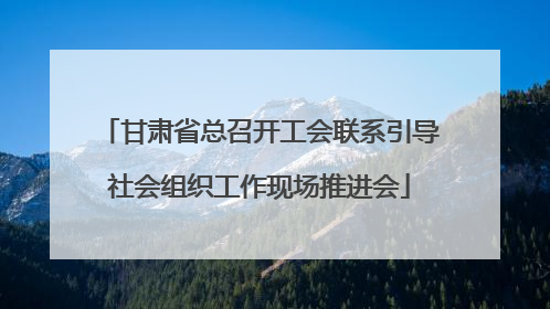 甘肃省总召开工会联系引导社会组织工作现场推进会