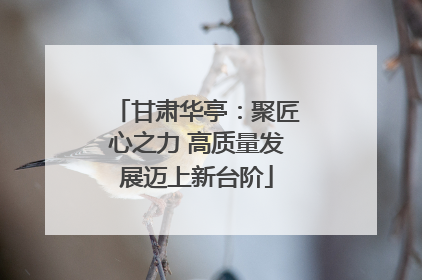甘肃华亭：聚匠心之力 高质量发展迈上新台阶