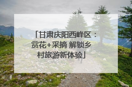甘肃庆阳西峰区：赏花+采摘 解锁乡村旅游新体验