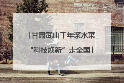 甘肃武山千年浆水菜“科技焕新”走全国