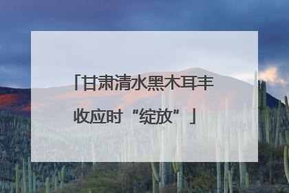 甘肃清水黑木耳丰收应时“绽放”