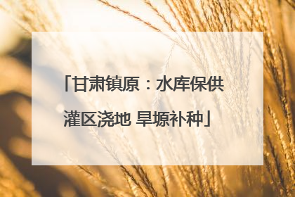 甘肃镇原：水库保供 灌区浇地 旱塬补种