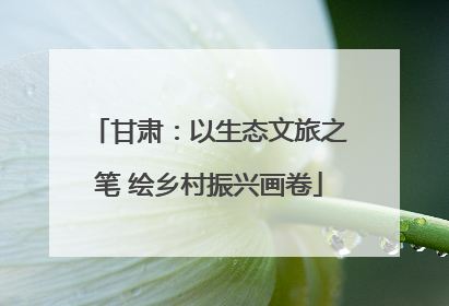 甘肃：以生态文旅之笔 绘乡村振兴画卷