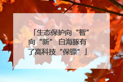 生态保护向“智”向“新” 白海豚有了高科技“保镖”