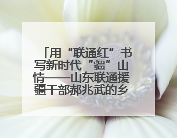 用“联通红”书写新时代“疆”山情——山东联通援疆干部郝兆武的乡村振兴答卷