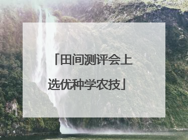 田间测评会上选优种学农技