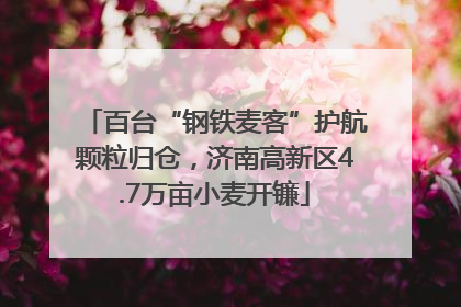 百台“钢铁麦客”护航颗粒归仓，济南高新区4.7万亩小麦开镰