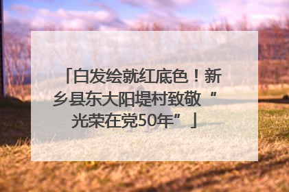 白发绘就红底色！新乡县东大阳堤村致敬“光荣在党50年”