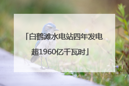 白鹤滩水电站四年发电超1960亿千瓦时