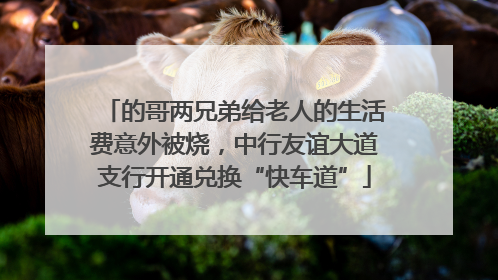 的哥两兄弟给老人的生活费意外被烧，中行友谊大道支行开通兑换“快车道”