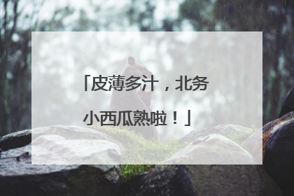 皮薄多汁，北务小西瓜熟啦！