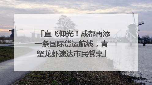 直飞仰光！成都再添一条国际货运航线，青蟹龙虾速达市民餐桌