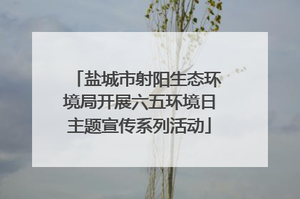 盐城市射阳生态环境局开展六五环境日主题宣传系列活动