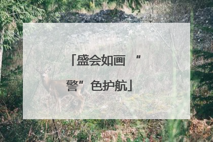 盛会如画 “警”色护航