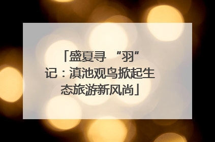 盛夏寻 “羽” 记：滇池观鸟掀起生态旅游新风尚