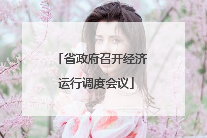 省政府召开经济运行调度会议