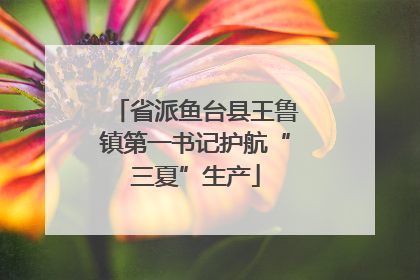省派鱼台县王鲁镇第一书记护航“三夏”生产