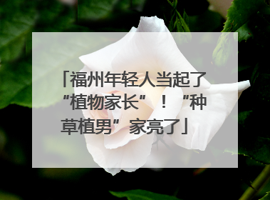 福州年轻人当起了“植物家长”！“种草植男”家亮了