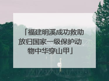 福建明溪成功救助放归国家一级保护动物中华穿山甲