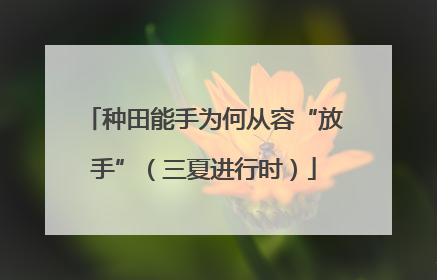 种田能手为何从容“放手”（三夏进行时）