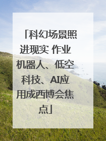 科幻场景照进现实 作业机器人、低空科技、AI应用成西博会焦点