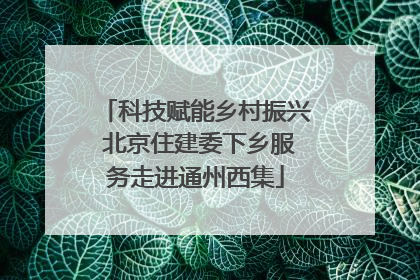 科技赋能乡村振兴 北京住建委下乡服务走进通州西集