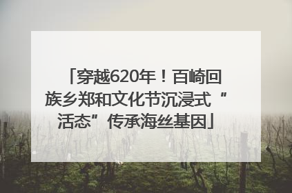 穿越620年！百崎回族乡郑和文化节沉浸式“活态”传承海丝基因