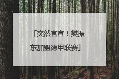 突然官宣！樊振东加盟德甲联赛