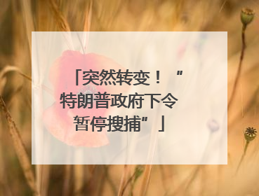 突然转变！“特朗普政府下令暂停搜捕”