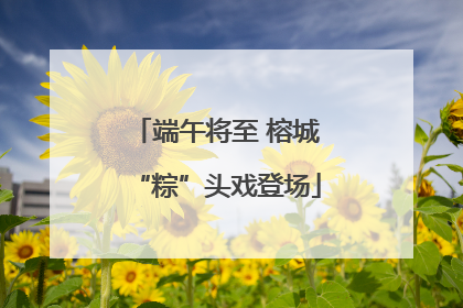 端午将至 榕城“粽”头戏登场