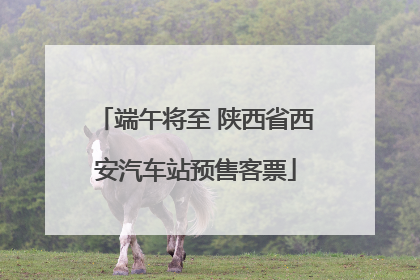 端午将至 陕西省西安汽车站预售客票