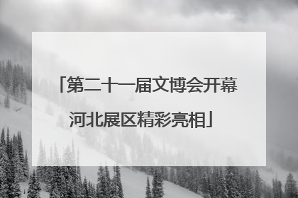 第二十一届文博会开幕 河北展区精彩亮相