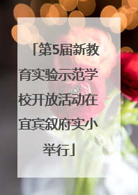 第5届新教育实验示范学校开放活动在宜宾叙府实小举行