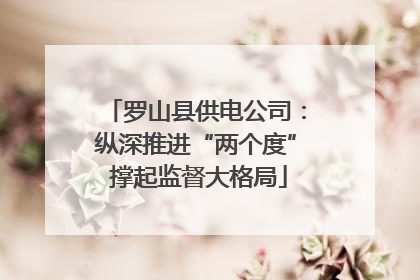 罗山县供电公司：纵深推进“两个度” 撑起监督大格局