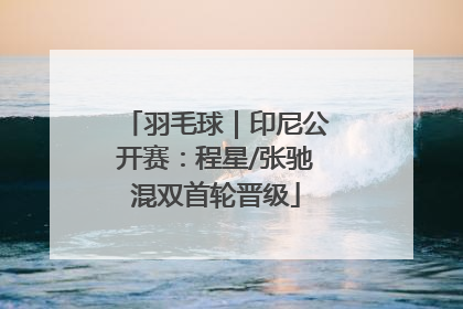 羽毛球｜印尼公开赛：程星/张驰混双首轮晋级