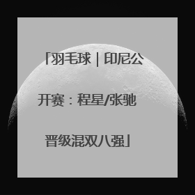 羽毛球｜印尼公开赛：程星/张驰晋级混双八强