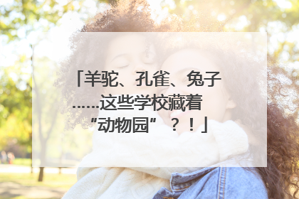 羊驼、孔雀、兔子……这些学校藏着 “动物园”？！
