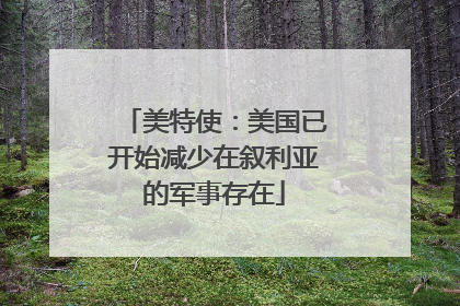 美特使：美国已开始减少在叙利亚的军事存在