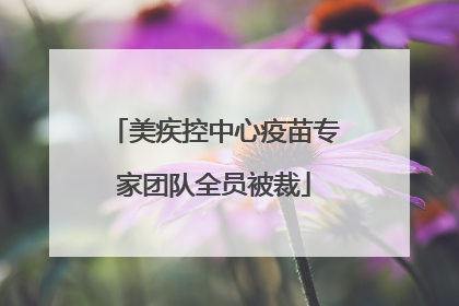 美疾控中心疫苗专家团队全员被裁