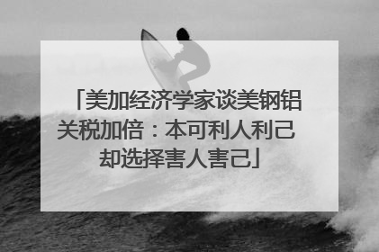 美加经济学家谈美钢铝关税加倍：本可利人利己 却选择害人害己