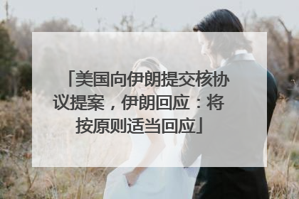 美国向伊朗提交核协议提案，伊朗回应：将按原则适当回应