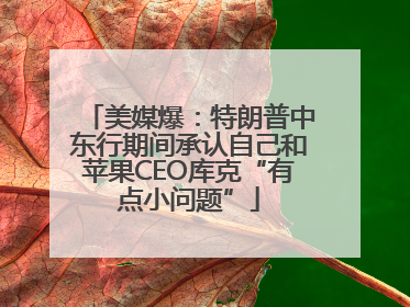 美媒爆：特朗普中东行期间承认自己和苹果CEO库克“有点小问题”