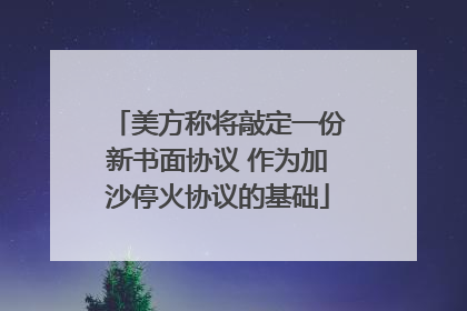 美方称将敲定一份新书面协议 作为加沙停火协议的基础