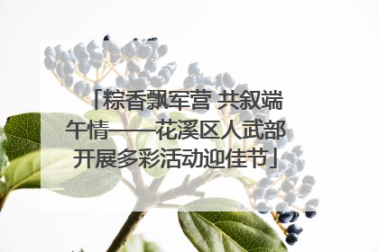 粽香飘军营 共叙端午情——花溪区人武部开展多彩活动迎佳节