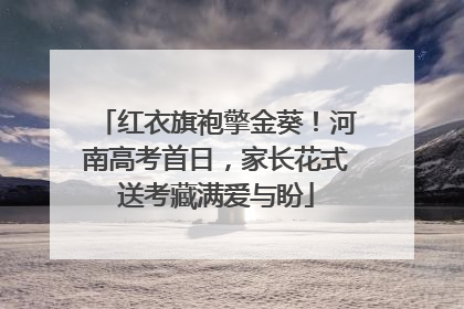 红衣旗袍擎金葵！河南高考首日，家长花式送考藏满爱与盼