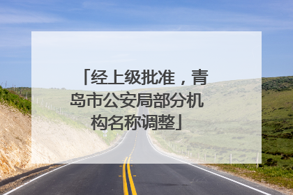 经上级批准，青岛市公安局部分机构名称调整