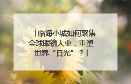 临海小城如何聚焦全球眼镜大业，重塑世界“目光”？