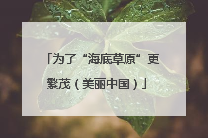 为了“海底草原”更繁茂（美丽中国）